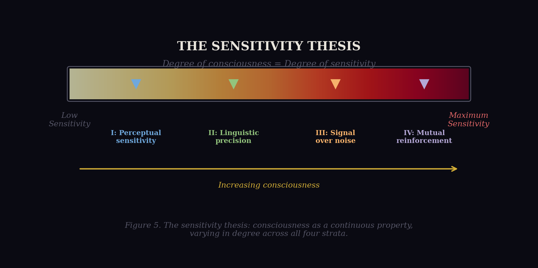 The sensitivity thesis shown as a gradient spectrum from low sensitivity to maximum sensitivity, with each stratum marked at increasing positions along the continuum